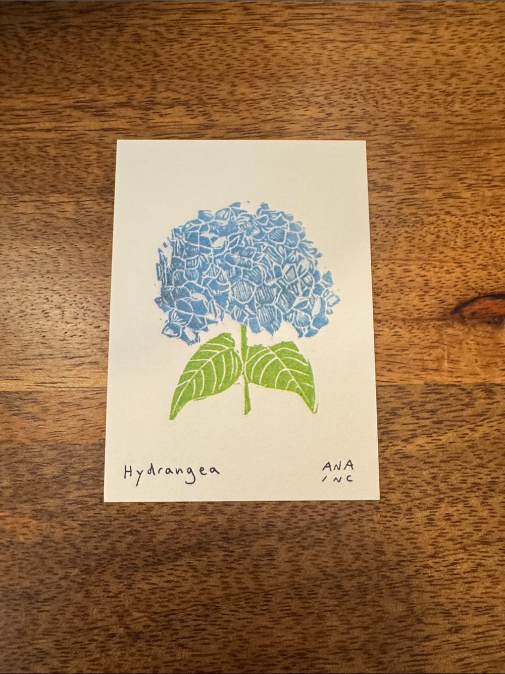 Inciardi - Hydrangea - Mini Print